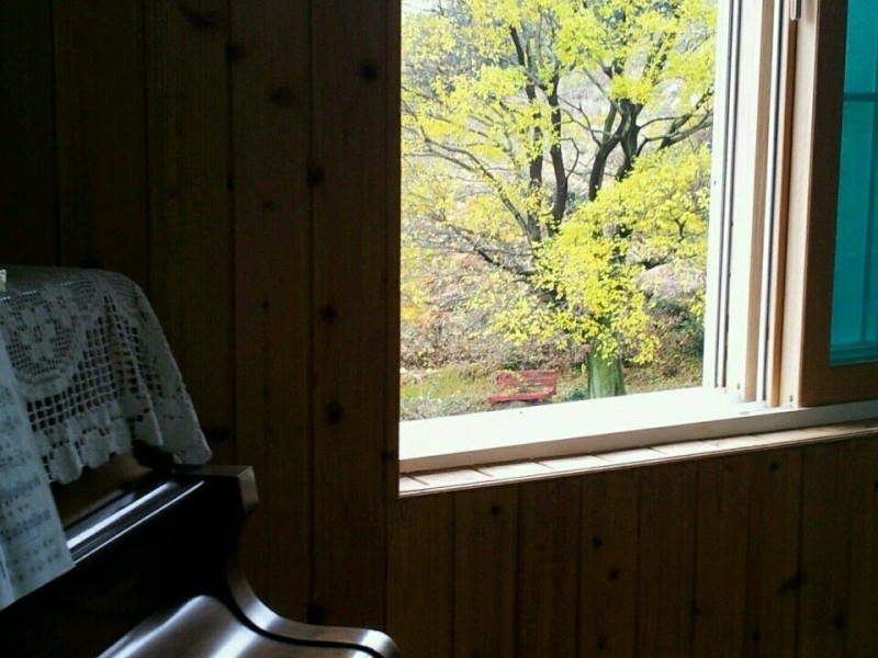 보성 생태마실민박펜션 사진