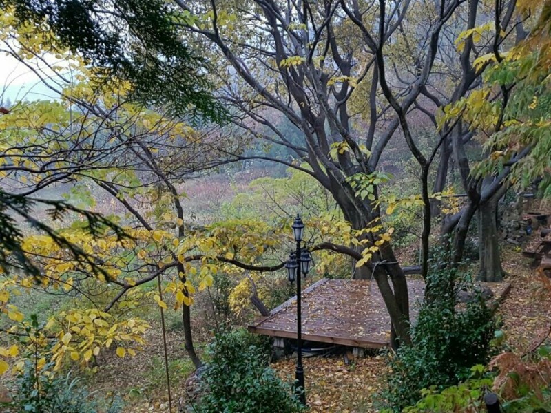 보성 생태마실민박펜션 전망