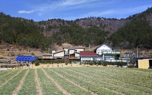 보성 별바라기펜션