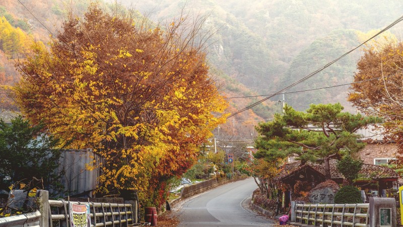 단양 사나래펜션 전망