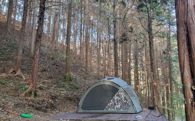 장성 편백힐치유의숲