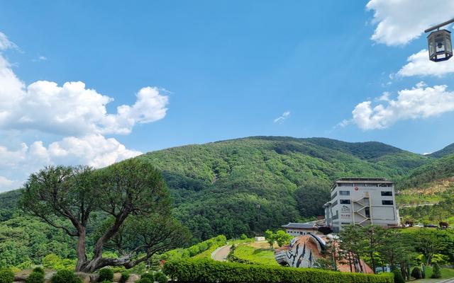 지리산 산청 한방 가족호텔