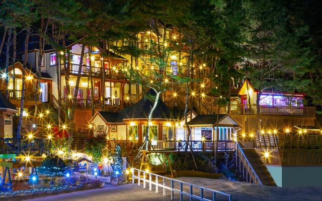 횡성 숲속의사랑별펜션