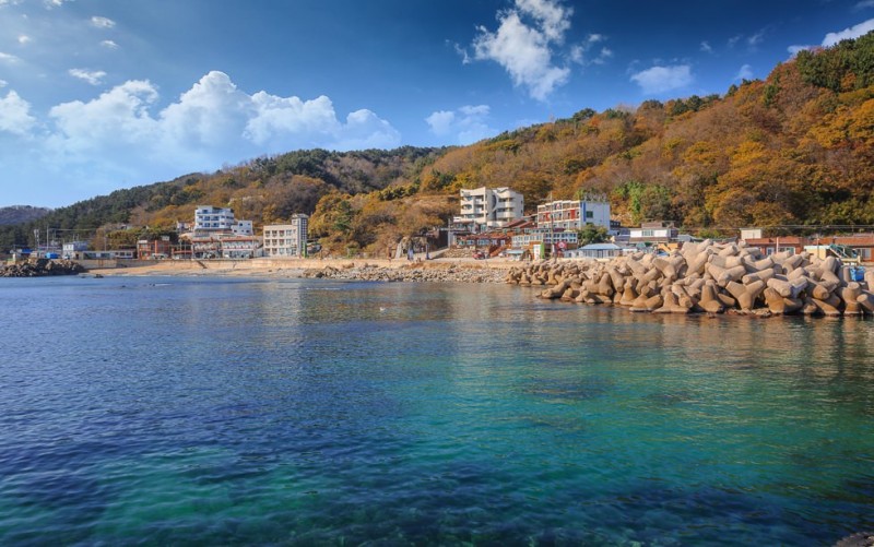 영덕 바다산책펜션 전망