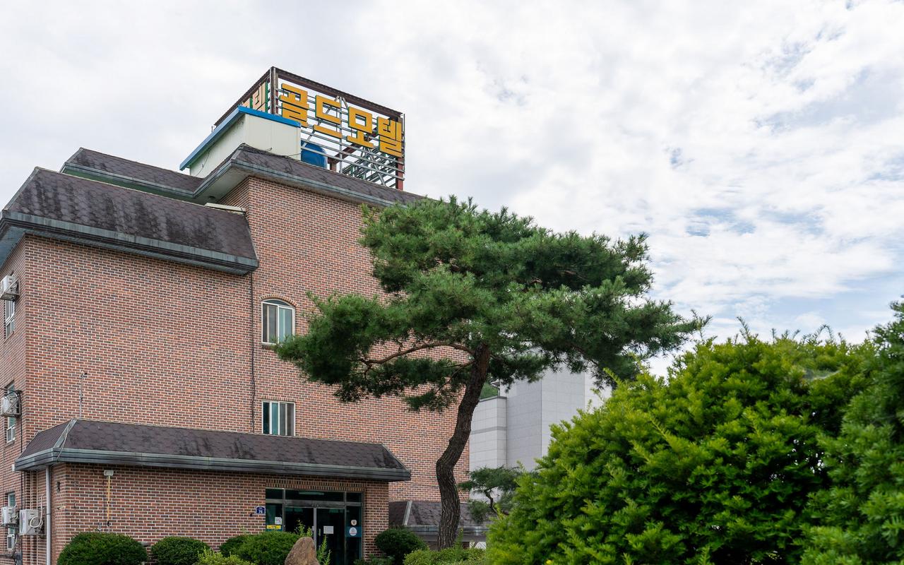순창 골드 사진