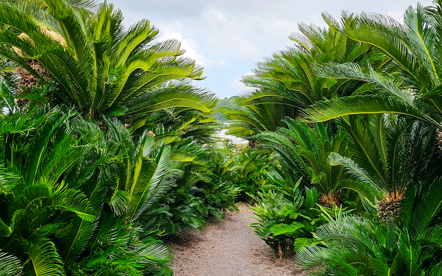 리뷰 대표 이미지