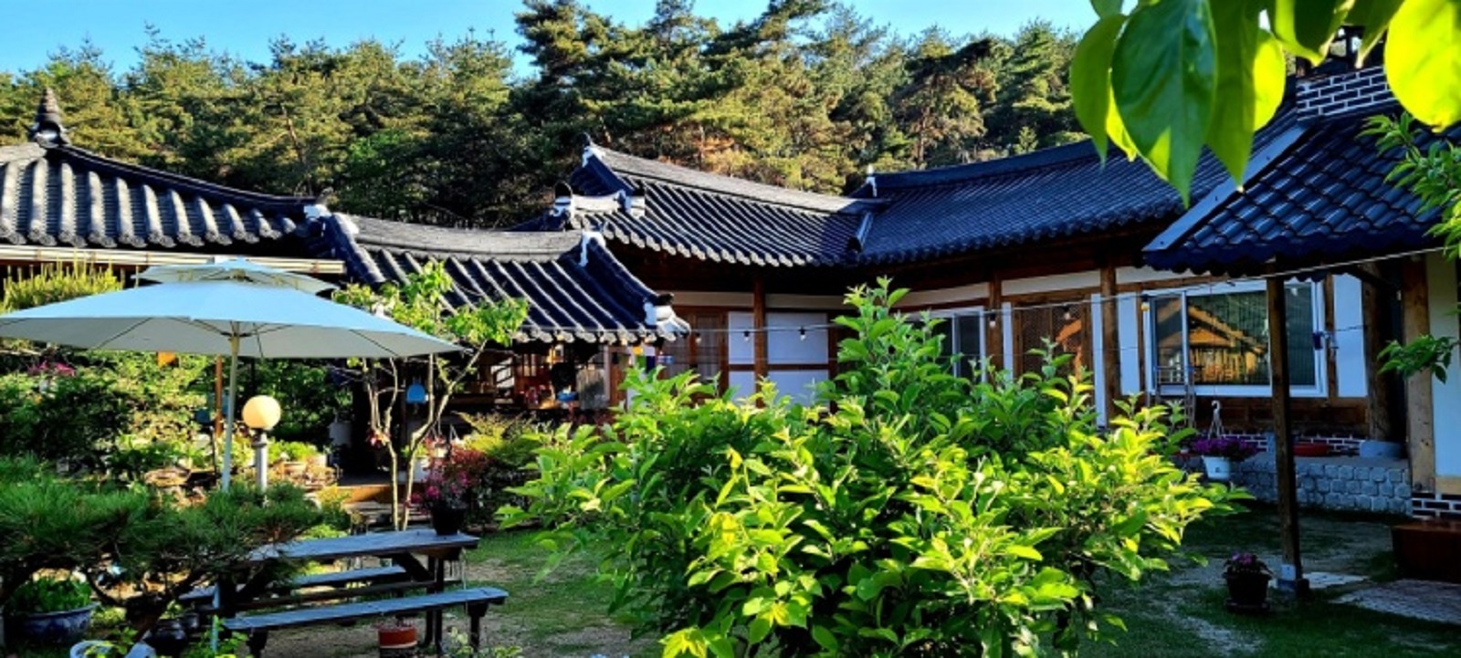 담양 ㄱ정자가있는 우리한옥민박 게스트 하우스 예약, 가격, 위치, 객실 | NOL (야놀자)