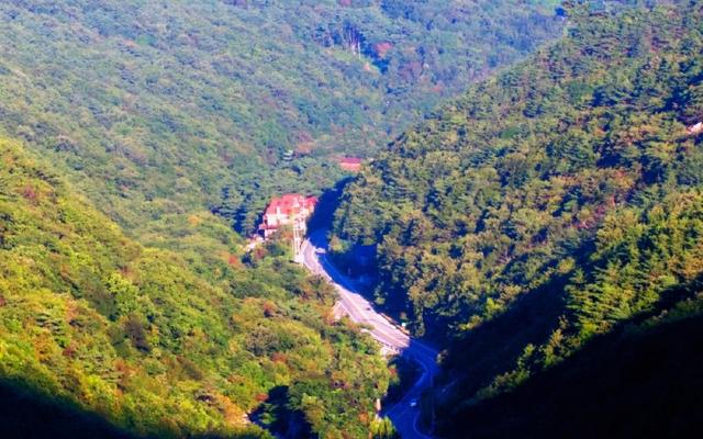 양산(배내골) 솔밭휴양림펜션