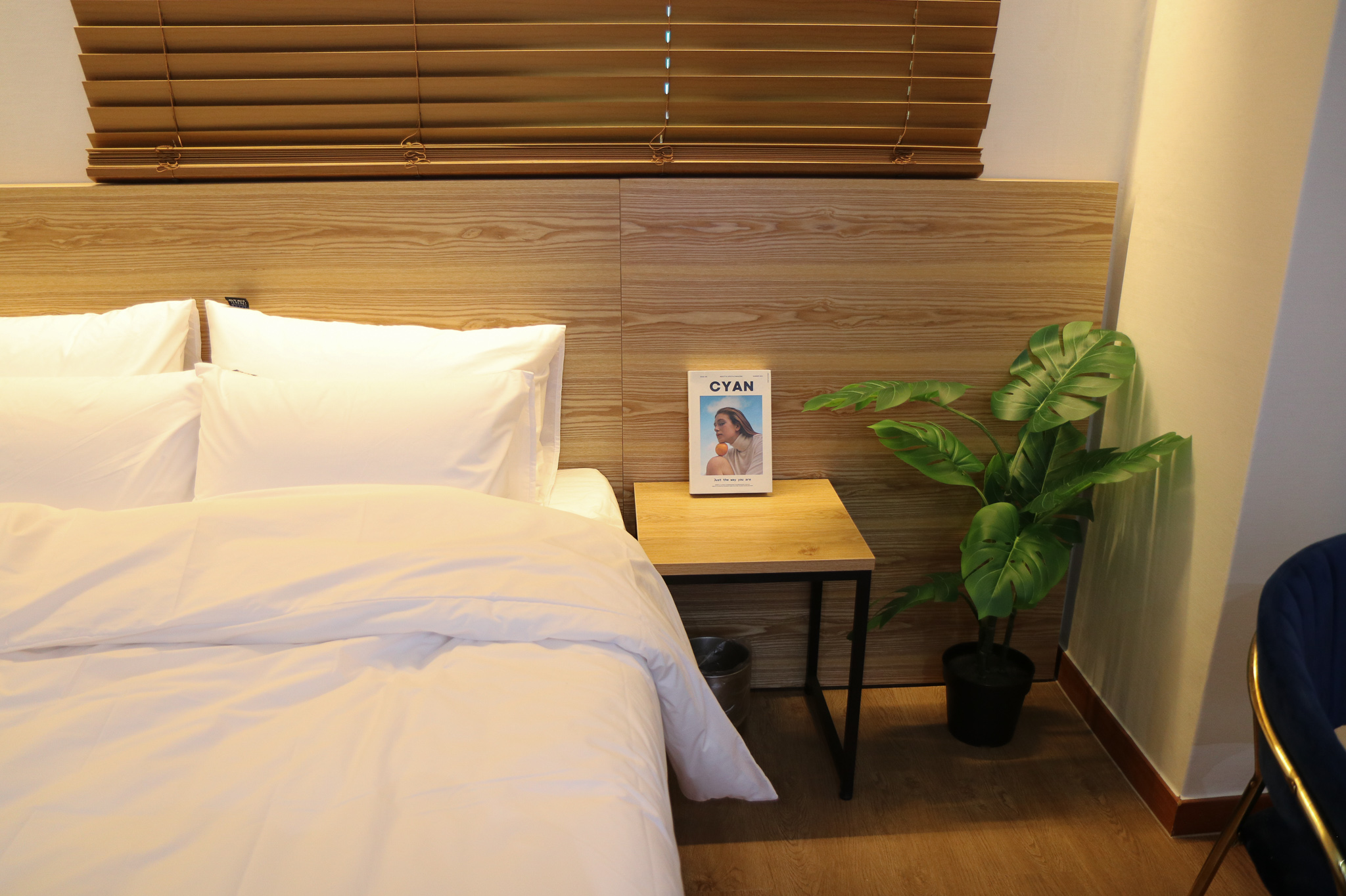 room detail thumbnail 1