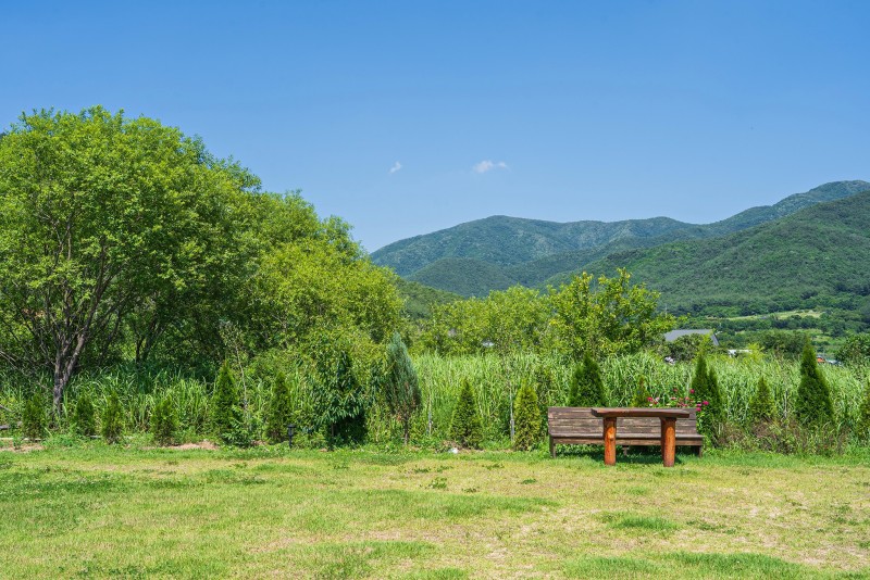 https://yaimg.yanolja.com/v5/2024/09/06/13/66db06a68ccdc5.92944382.jpg