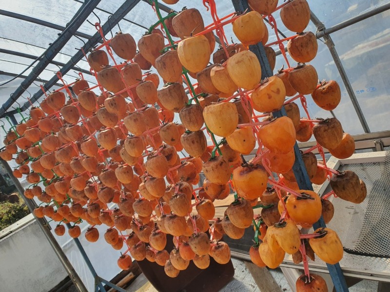 삼척 초당지펜션 사진