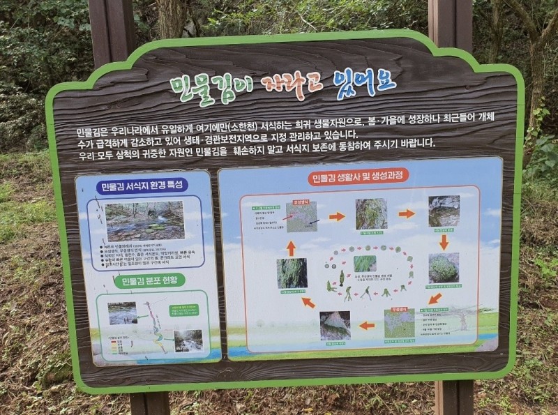 삼척 초당지펜션 사진