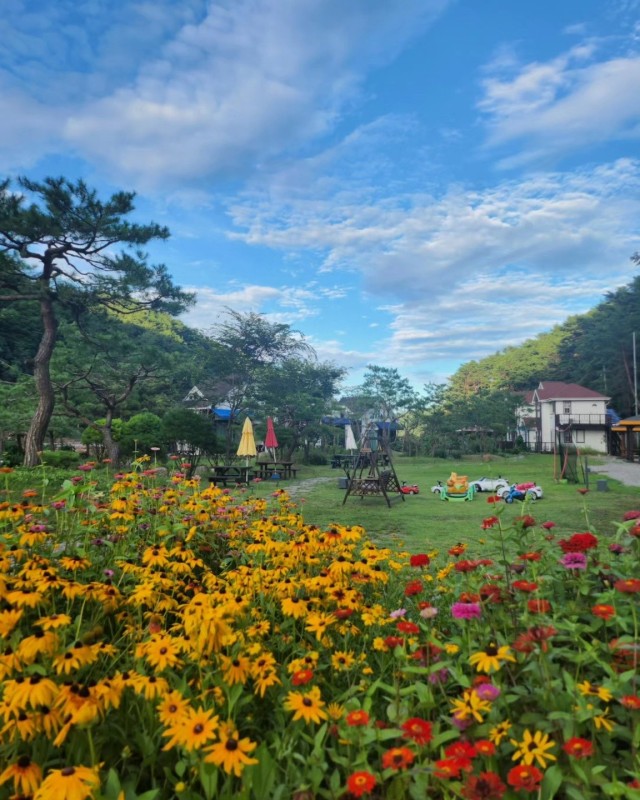 삼척 초당지펜션 사진