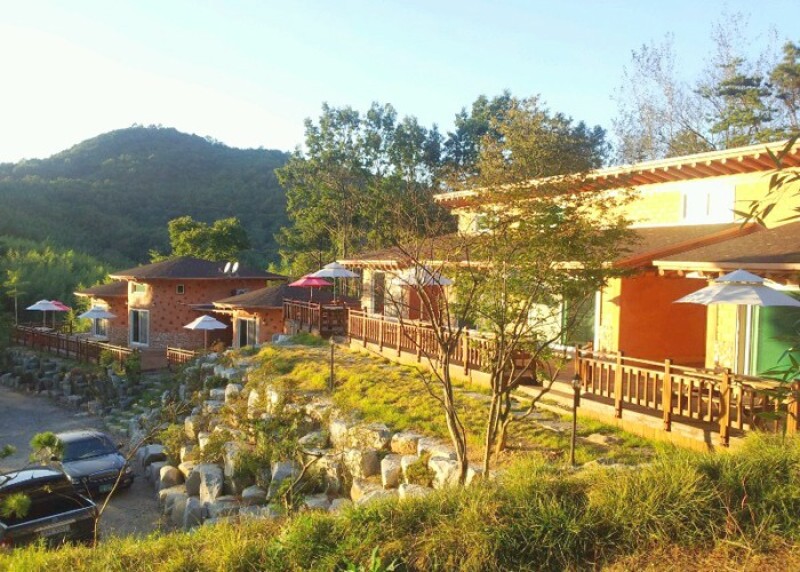담양 대숲속으로 사진