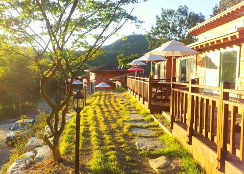 담양 대숲속으로 사진