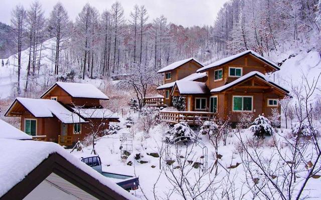 평창 어머니품속마을펜션