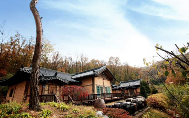 안성 산삼꽃피는마을