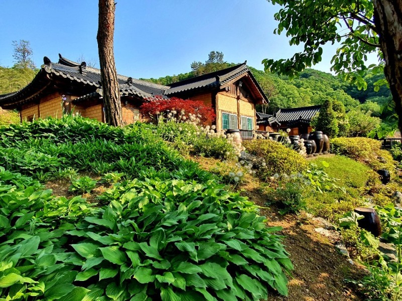 https://yaimg.yanolja.com/v5/2024/09/15/15/66e6fdf5101c61.26833906.jpg