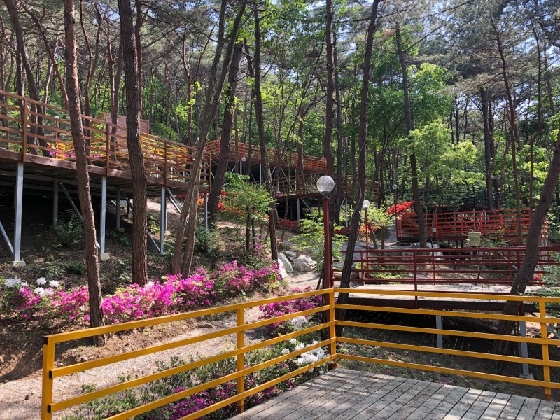 https://yaimg.yanolja.com/v5/2024/09/15/19/66e72f1e32a997.33205290.JPG