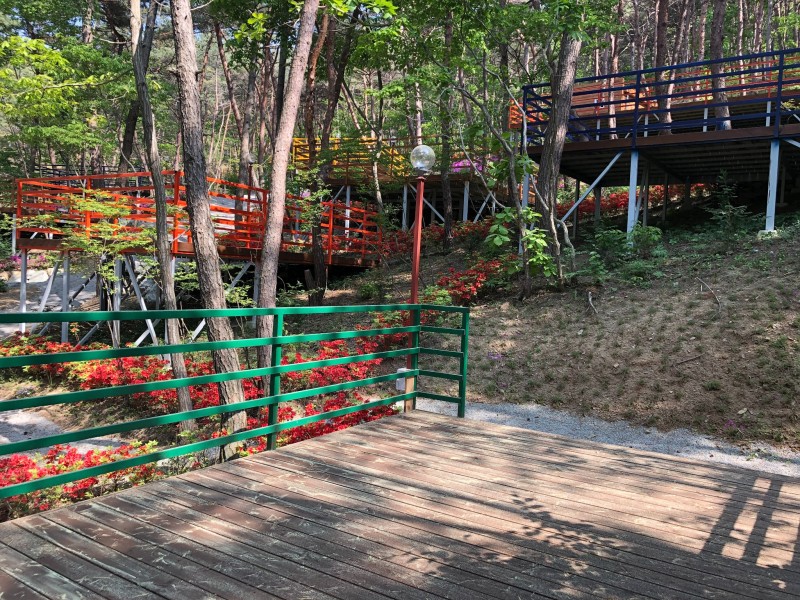 https://yaimg.yanolja.com/v5/2024/09/15/19/66e72f1f939e31.14084081.JPG