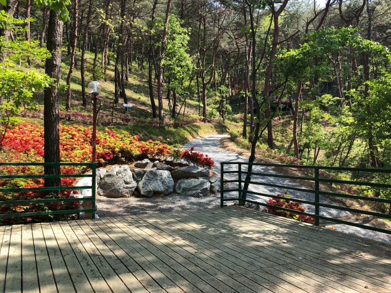 https://yaimg.yanolja.com/v5/2024/09/15/19/66e72f238ca572.59797016.JPG