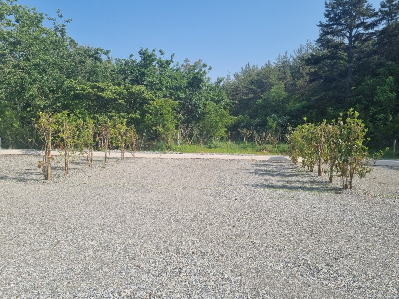 https://yaimg.yanolja.com/v5/2024/09/20/12/66ed6c0e9fbb02.76871453.jpg