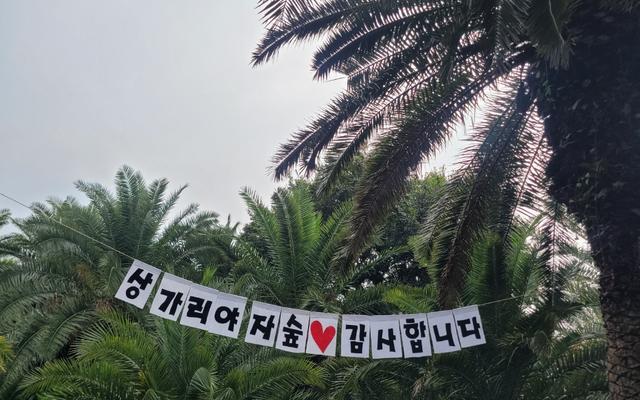 리뷰 대표 이미지