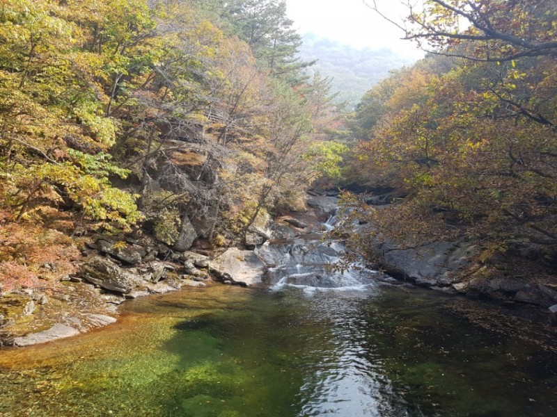 무주 숲속의아침펜션 수영장