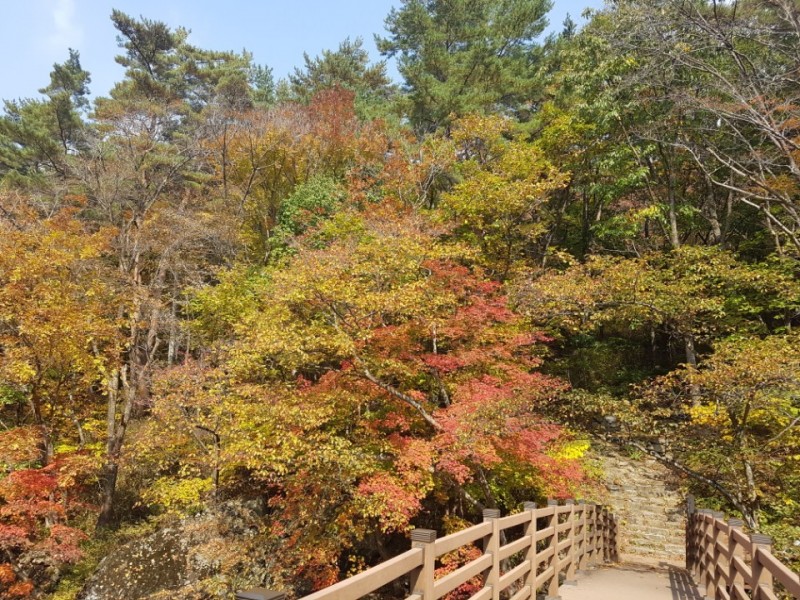 무주 숲속의아침펜션 전망