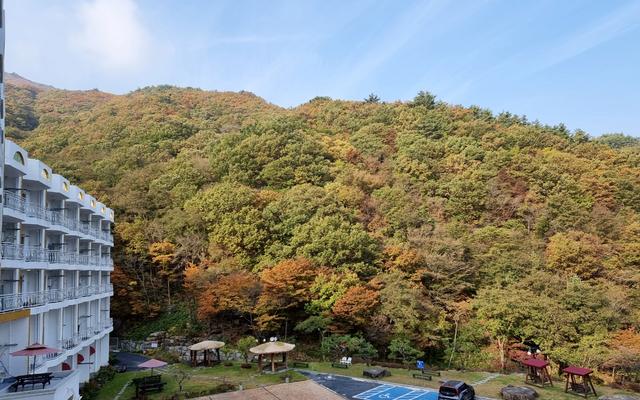 구례 준성리조트