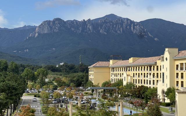 리뷰 대표 이미지