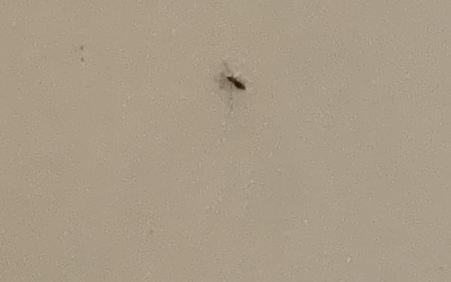 썸네일_3