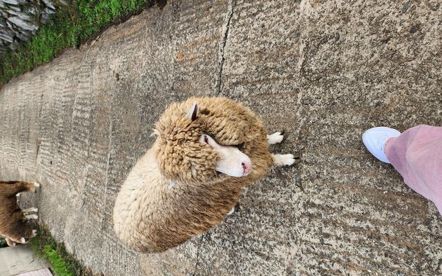 리뷰 대표 이미지