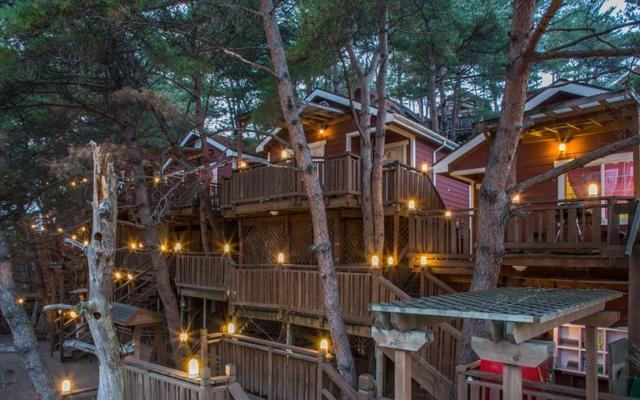 횡성 파인벨펜션