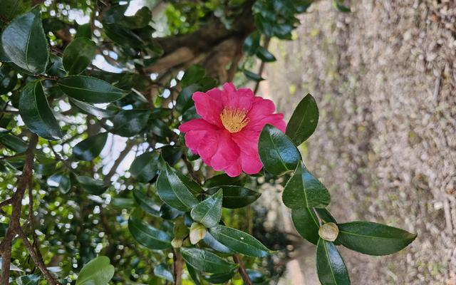 리뷰 대표 이미지