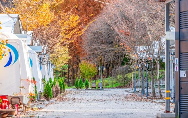 대전 꿈꾸는농부캠핑장