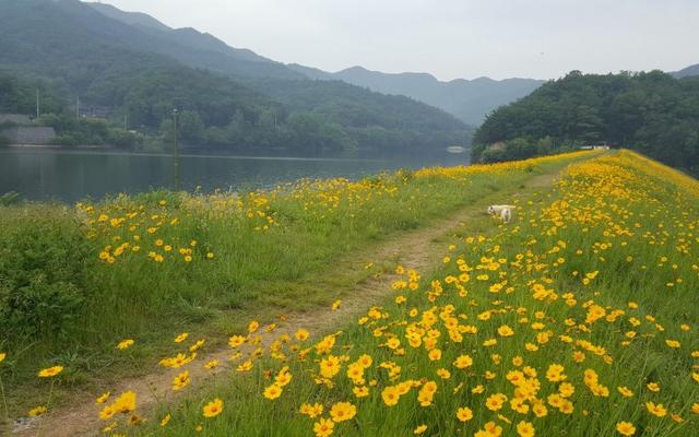 천안 별장펜션 사진