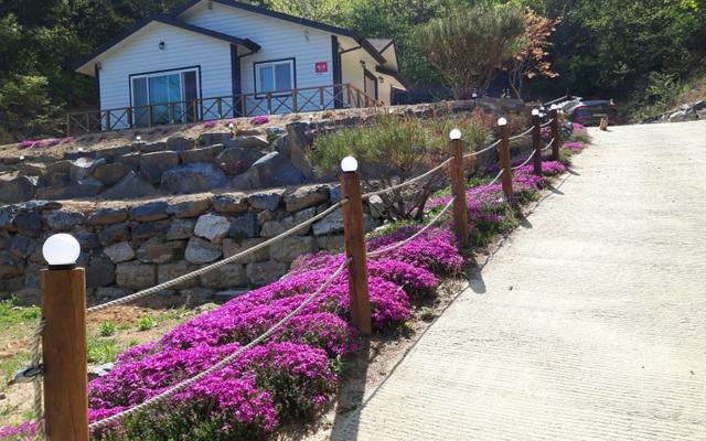 옥천 물안개펜션