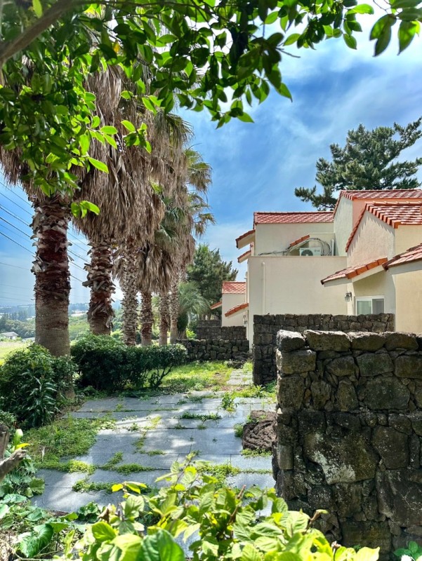 https://yaimg.yanolja.com/v5/2024/11/23/06/674170a8e34d79.79821233.jpg