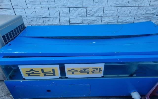 태안(안면도) 바다이야기펜션 사진