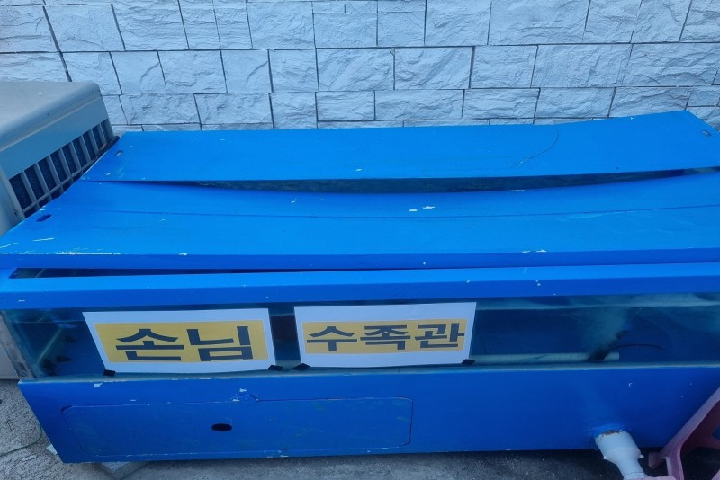 태안(안면도) 바다이야기펜션 수영장
