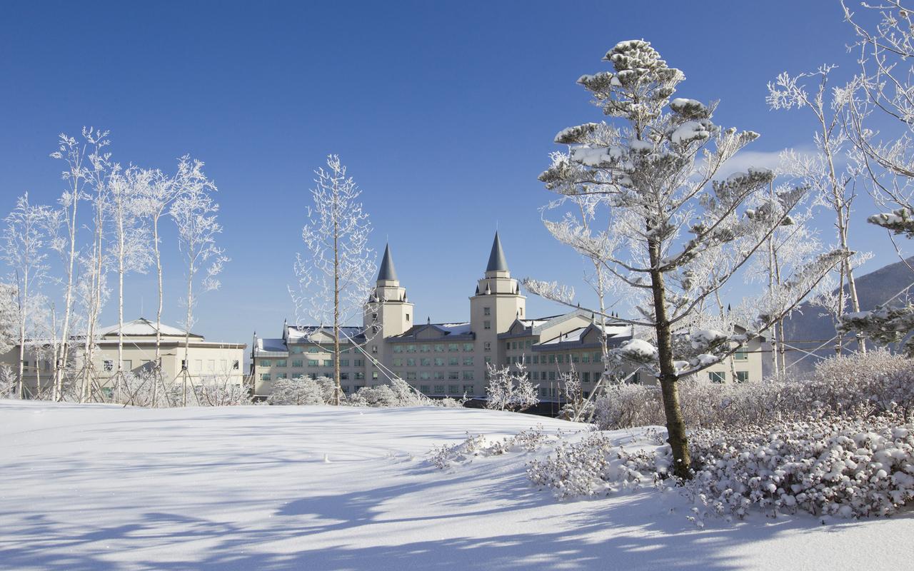 하이원 팰리스 호텔 호텔/리조트 사진, 가격, 위치소개 | NOL