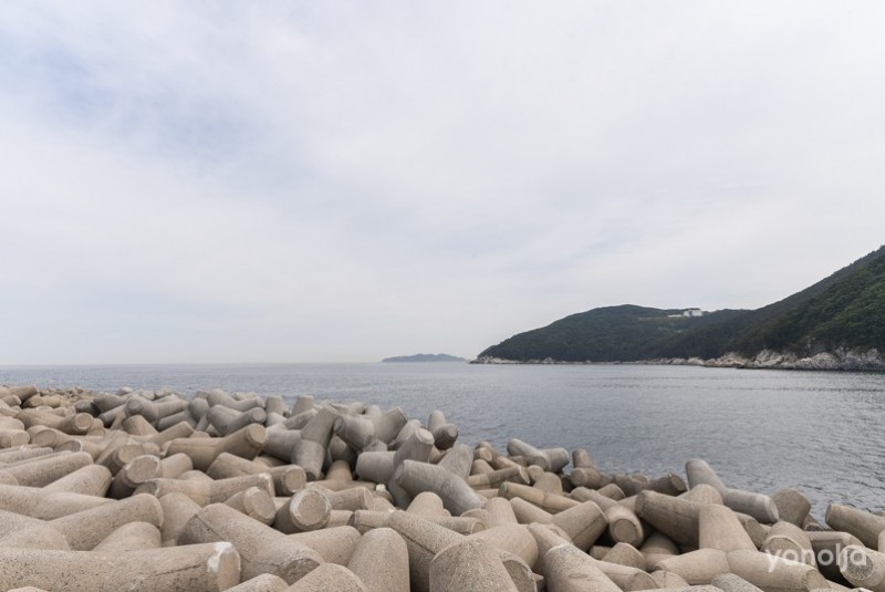 https://yaimg.yanolja.com/v5/2024/12/05/05/67513dcca85310.98132883.jpg
