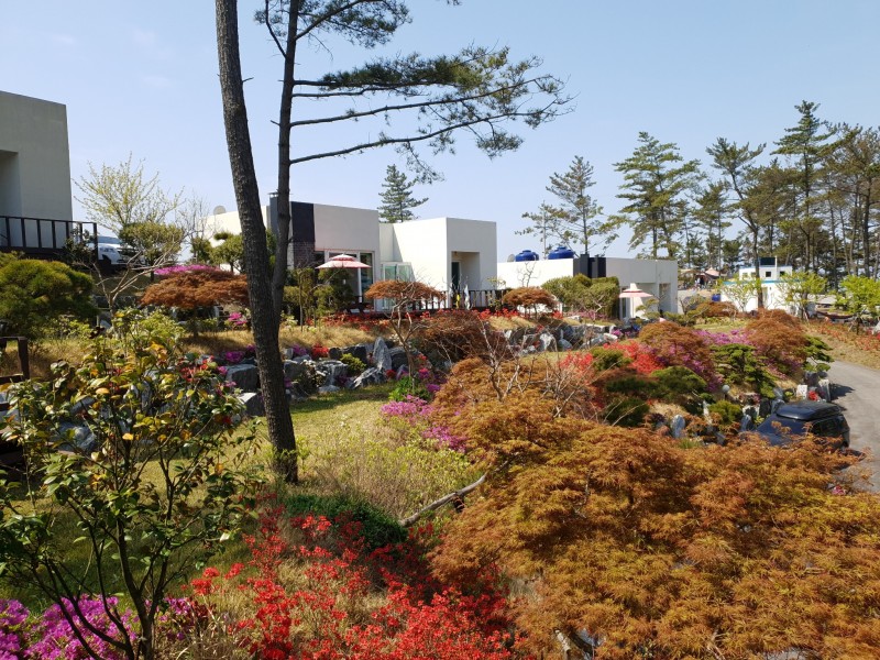 태안 SE클럽풀빌라펜션 전망