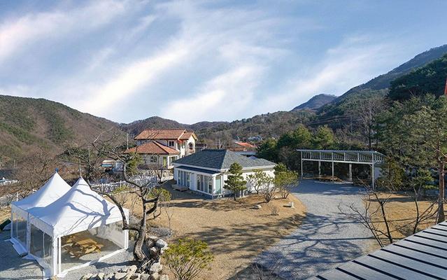 보은 천년의하루펜션