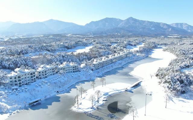 속초 파인리즈 리조트