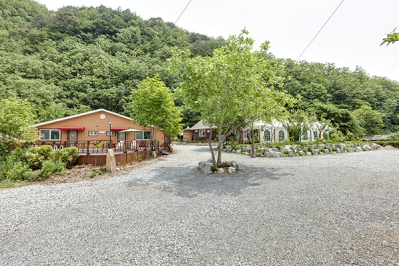 정선 정선애펜션&캠핑장 사진