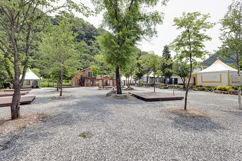 정선 정선애펜션&캠핑장 사진