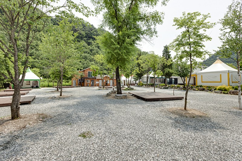 정선 정선애펜션&캠핑장 사우나·스파