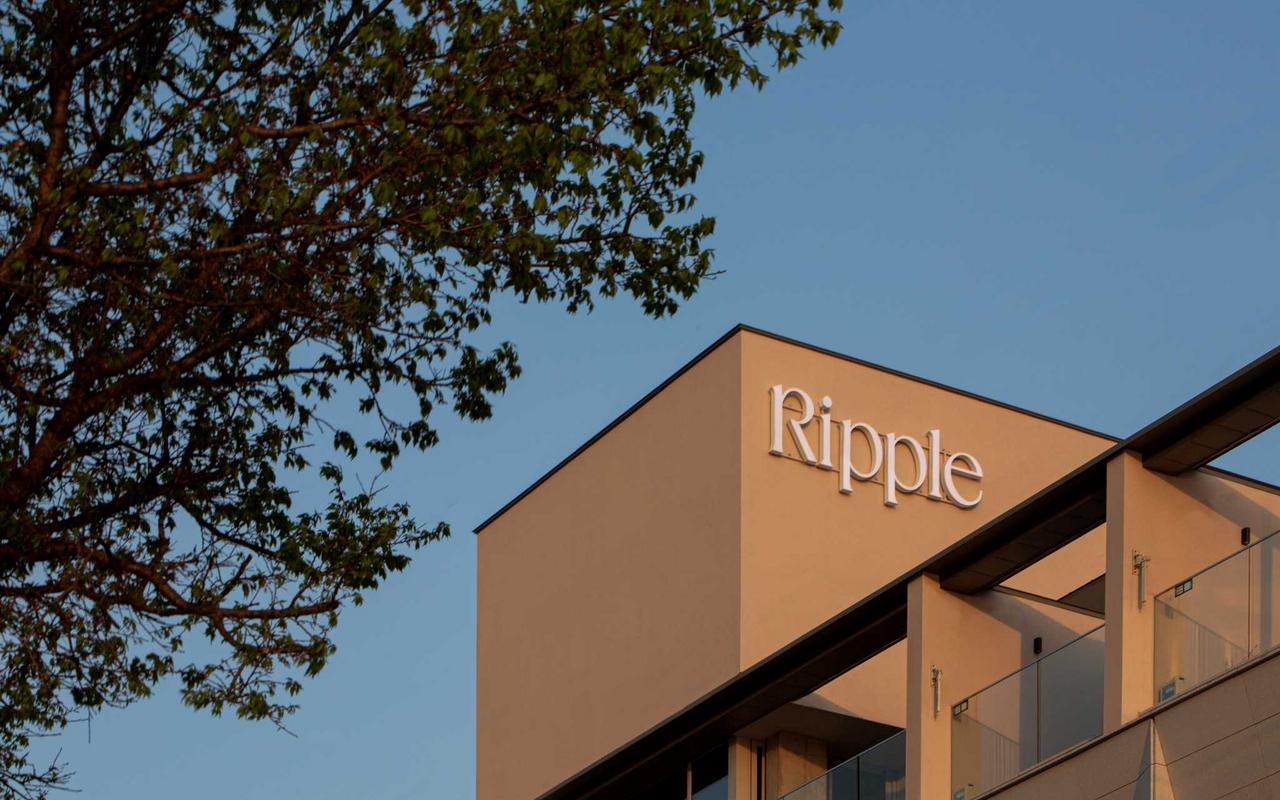 리플 부티크 호텔 호텔/리조트 사진, 가격, 위치소개 | NOL